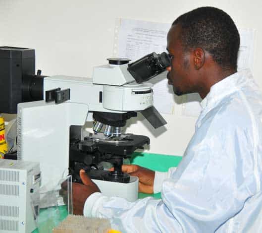 Research for New TB Vaccines